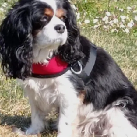 Tor Vergata Con Giardino * Rome